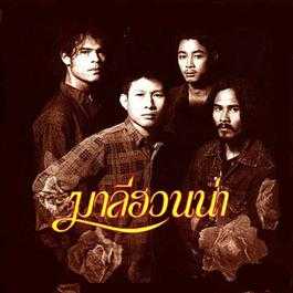 มาลีฮวนน่า - คอร์ดเพลง เนื้อเพลง คอร์ดกีตาร์
