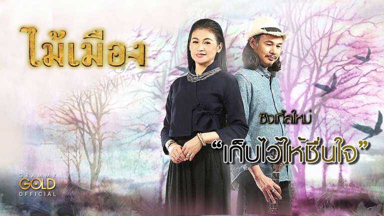 คอร์ดเพลง เก็บไว้ให้ชื่นใจ - ไม้เมือง