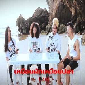 คอร์ดเพลง เหมือนผักเหมือนปลา - L.กฮ.