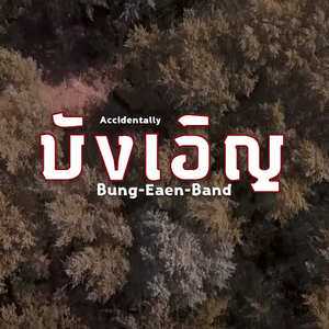 คอร์ดเพลง จะฝืนให้ – วง บังเอิญ | Popasia