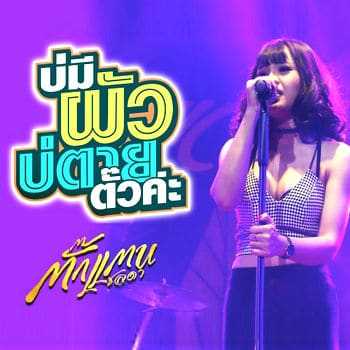 คอร์ดเพลง บ่มีผัวบ่ตายตั๊วค่ะ – ตั๊กแตน ชลดา | Popasia