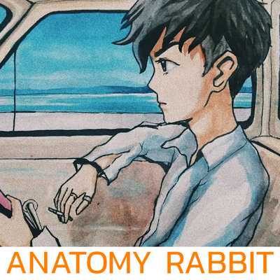 Anatomy Rabbit