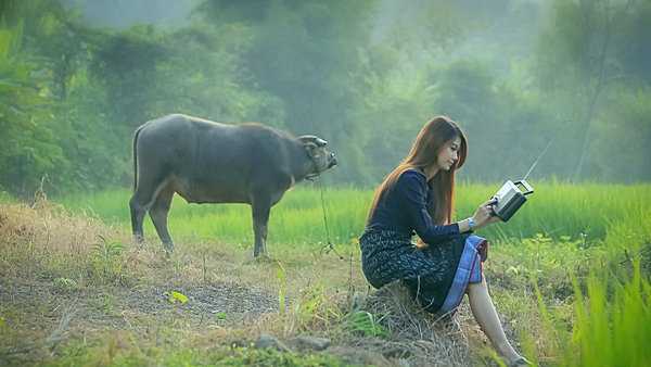 คอร์ดเพลงลูกทุ่ง