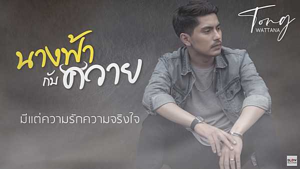 คอร์ดเพลง นางฟ้า กับควาย - ต๋อง วัฒนา SLOW