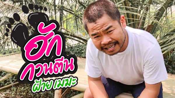 คอร์ดเพลง ฮักกวนตีน - ฝ้าย เมฆะ