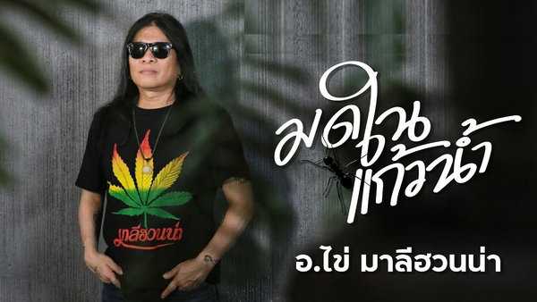 คอร์ดเพลง มดในแก้วน้ำ - อ.ไข่ มาลีฮวนน่า