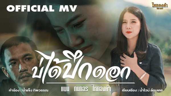 คอร์ดเพลง บ่ได้ปึกดอก - แนน กนกอร ไหทองคำ