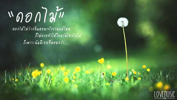 คอร์ดเพลง ดอกไม้ Dojo City