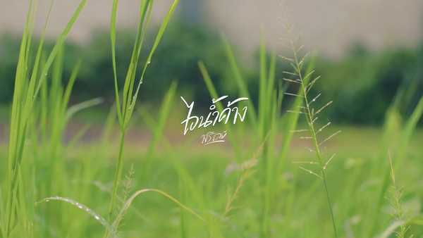 คอร์ดเพลง ไอน้ำค้าง วงรีเลย์