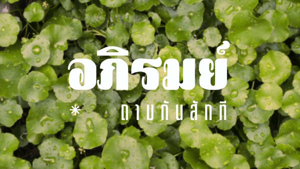 คอร์ดเพลง ถามกันสักที อภิรมย์