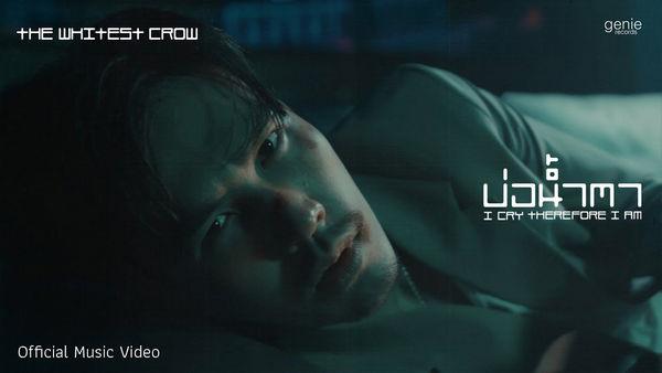 คอร์ดเพลง บ่อน้ำตา THE WHITEST CROW