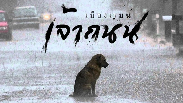 คอร์ดเพลง เจ้าถนน - เมืองแมน