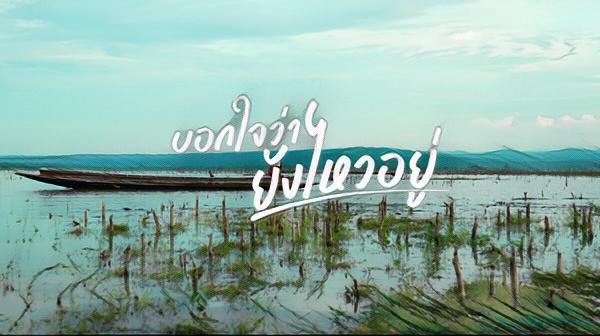 คอร์ดเพลง บอกใจว่ายังไหวอยู่ โชค โชคมงคล